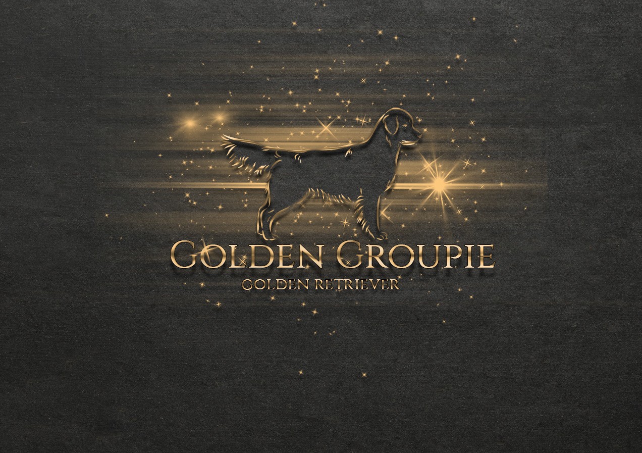 Golden Groupie
